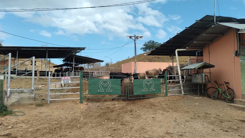 Commercial Property for Sale in Herrera 05001 Herrera 05001